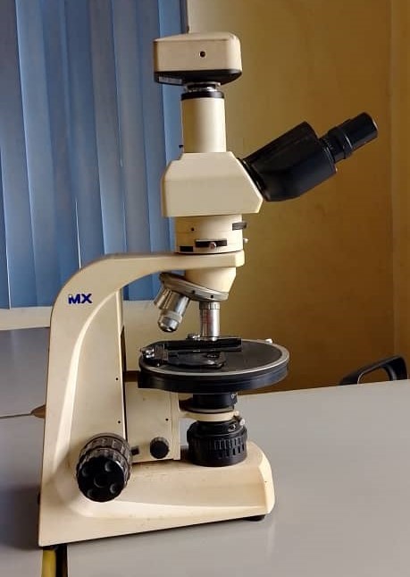 Well-site Biostratigraphy